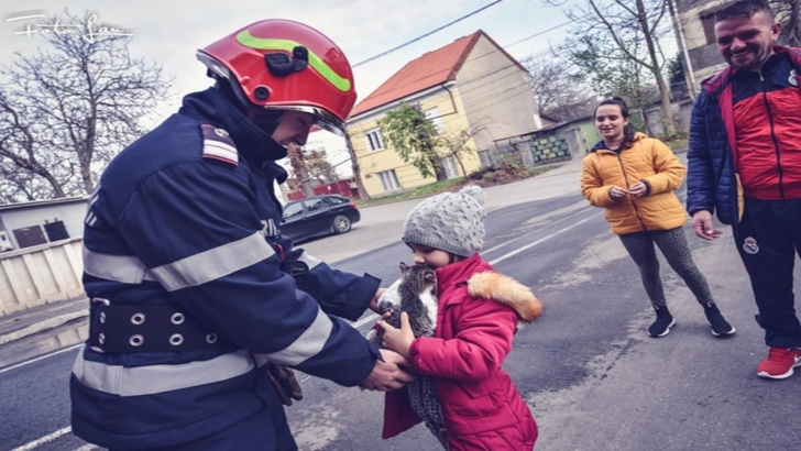 Momente emoționante. Pisicuța salvată din blocul morții s-a întors la familia ei