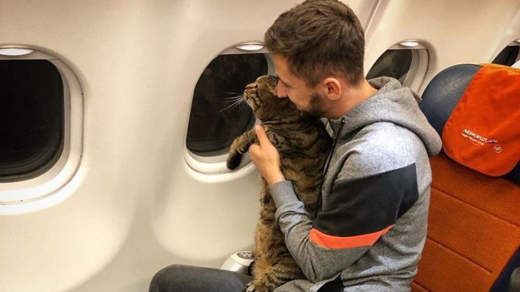 A urcat în avion cu o pisică mai grea decât limita admisă. Însoțitorii l-au dat jos instant