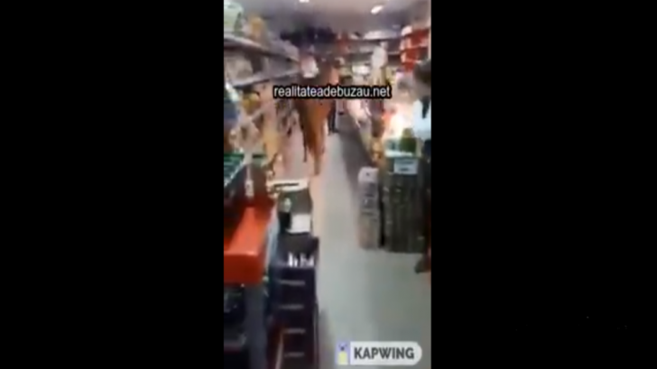 A intrat cu calul în magazin - VIDEO