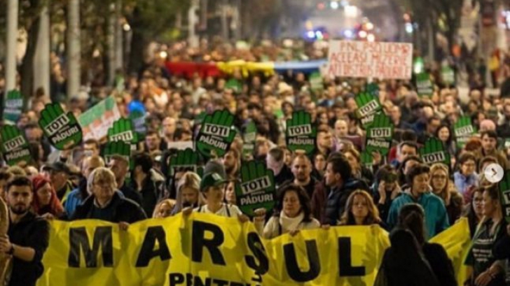 Leodardo DiCaprio laudă "Marșul Pădurilor" din România