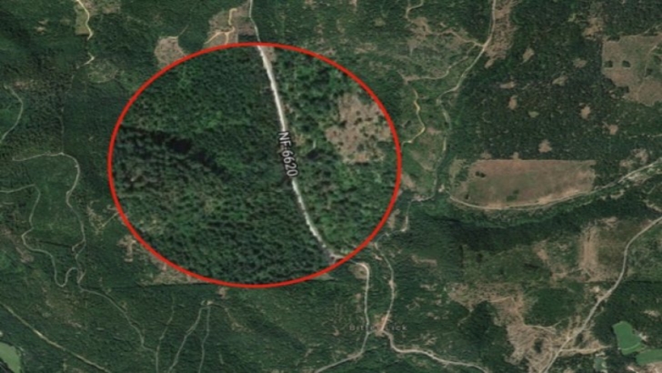 Mașină dispărută în urmă cu 27 de ani, găsită într-o pădure, înfiptă în pom. Oribil ce era lângă ea!
