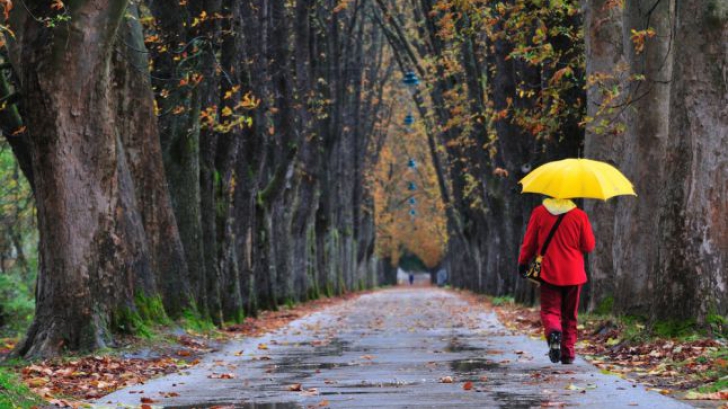 Prognoza meteo Prognoza meteo