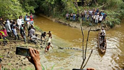 Descoperire înfiorătoare în burta unui crocodil de 7 metri! 