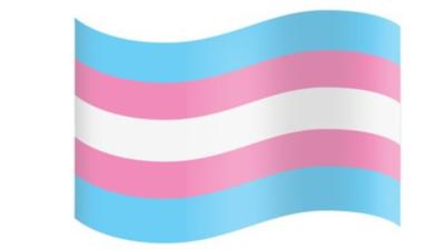 emoticon steag transgender 2020