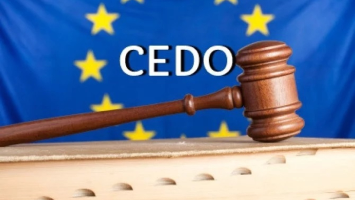 România, condamnată de CEDO pentru încălcarea dreptului unui protestatar