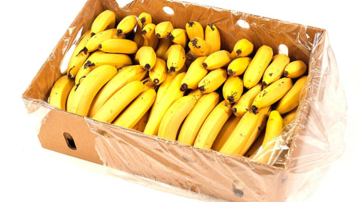 Cocaină descoperită în cutii de banane