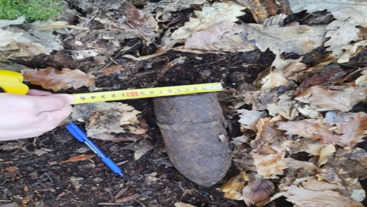 Poliția, în stare de alertă! O BOMBĂ a fost găsită într-o pădure de lângă Târgu Jiu