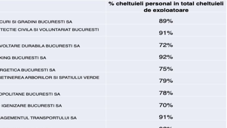 Cîțu revine cu noi acuzații: În companiile administrate de Firea, se plătesc salarii şi atât