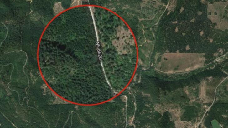 Mașină dispărută în urmă cu 27 de ani, găsită în pădure, înfiptă în pom. Oribil ce era lângă ea!