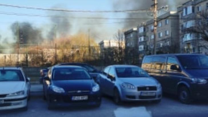 Galerie foto//Incendiul violent în Delta Văcărești din Capitală a fost stins