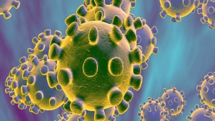 Cum afectează coronavirusul corpul uman și care sunt categoriile de risc