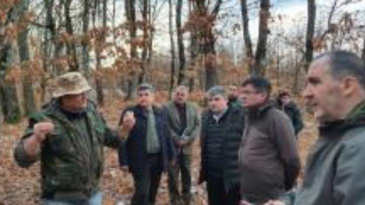 Un pensionar militar a reuşit să pună stop jafului dintr-o pădure din Olt. Ani de-a rândul, arbori seculari au fost tăiaţi ilegal