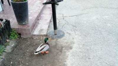 Cum arată Capitala în vremea coronavirusului 