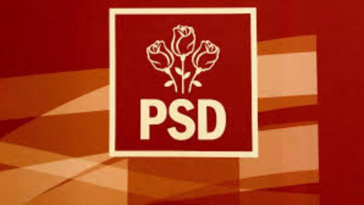 Sorina Pintea, demisă din PSD