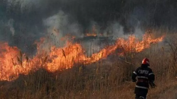 Incendiu vegetatie Tulcea