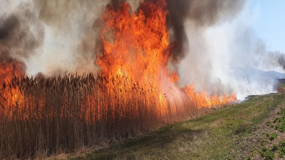 După amiază de coșmar pentru șoferi: DN1, blocat pe sensul de la munte la Bucuresti, din cauza unui incendiu de vegetație
