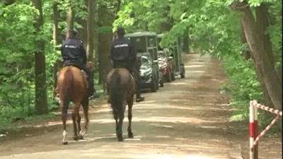 padurea baneasa, pazita de jandarmi