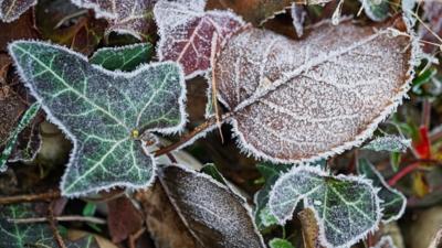 Informare meteo de vreme deosebit de rece: brumă și îngheț la sol