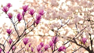 Prognoza meteo, revizuită. Schimbări importante: cum va fi vremea până pe 25 mai