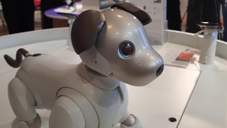 Câine-robot, paznic la oi. Cățelul din metal poate fi folosit de agricultori să monitorizeze recoltele