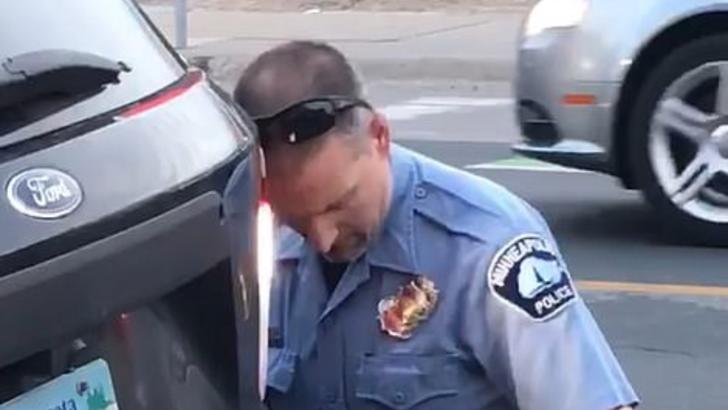 politist Minnesota
