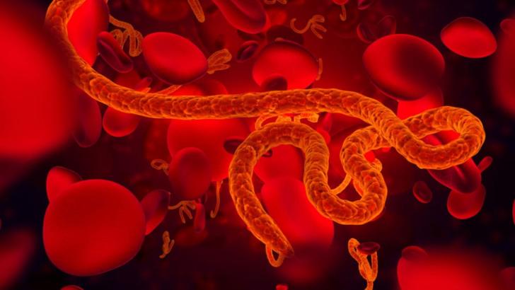 Virusul Ebola - imagine de arhivă