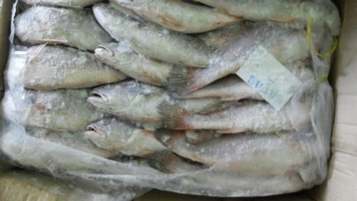 Pește decongelat și apă minerală preambalată, gasite de inspectorii ANPC la magazinele din Slobozia