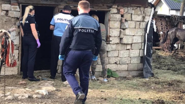 Suceveni pedepsiți penal după ce si-au bătut caii Foto: Poliția Română