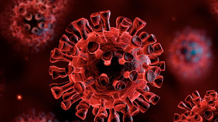 coronavirus Foto: Pixabay.com