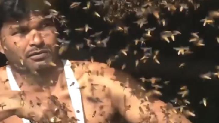 Ritualul care a șocat: de ce își umple acest bărbat gura cu sute de albine vii