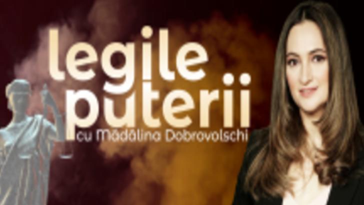Mădălina Dobrovolschi: Politică de shaormerie
