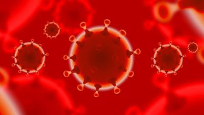 coronavirus Foto: Pixabay.com