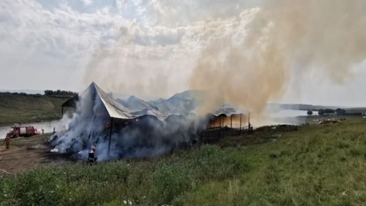 Incendiu la un depozit de furaje din Botoșani. Pompierii se luptă cu flăcările de 24 de ore 