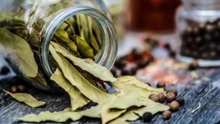 Ce se întâmplă dacă arzi câteva frunze de dafin în cameră