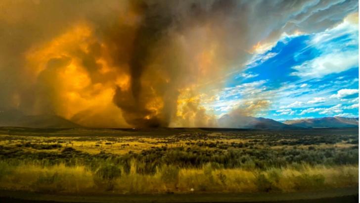 Fenomene meteo extrem de rar în California de Nord: tornadă de foc declanșată de un puternic incendiu de vegetație 