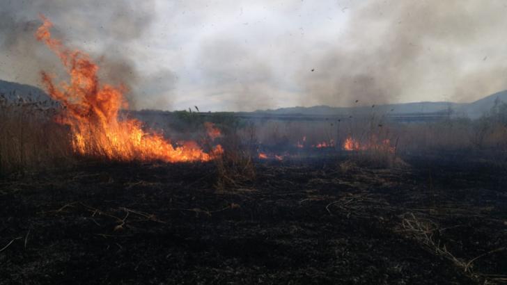 FOTO Incendiu de vegetație de proporții, la Sibiu, focul s-a întins pe 35 de hectare 