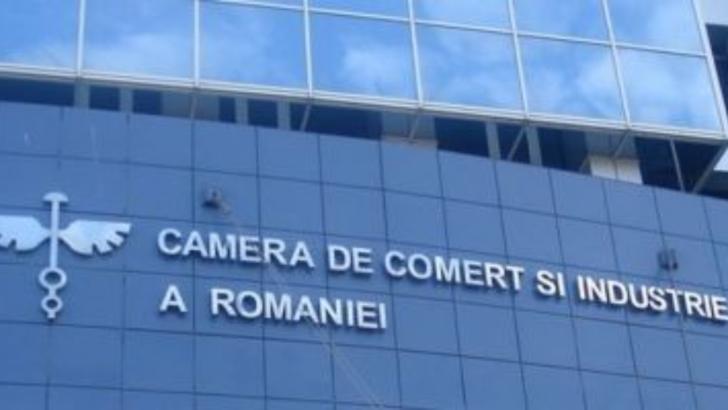 CCIR se alege cu 46 de hectare de tere de la Romexpo