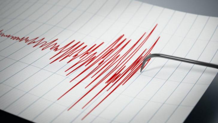 Cutremur în Vrancea - Ce magnitudine a avut seismul