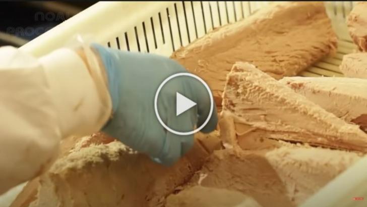 VIDEO – Cum sunt făcute conservele de ton – Imaginile filmate într-o fabrică – Mai mănânci după ce vezi asta?