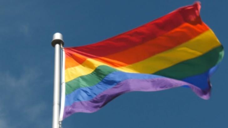 Expert ONU, despre un proiect de lege canadian legat de terapiile de conversie în cazul LGBTQ2: "Are influență globală. Practicile și paralele pot fi trasate pentru a inspira alte state”