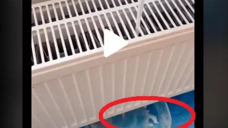 VIDEO – A pus apă cu detergent prin calorifer. A rămas șocat ce a putut să descopere