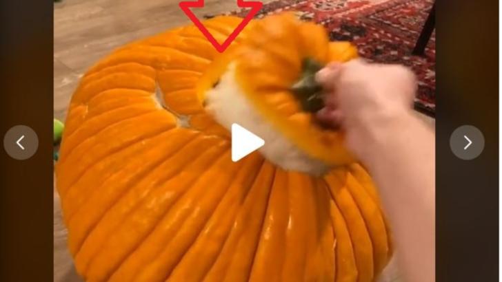 VIDEO – Cel mai tare dovleac de Halloween – Surpriza din interior i-a lăsat fără cuvinte pe copii