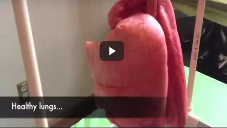 VIDEO – Cum arată plămânii unui om după 2 pachete de țigări