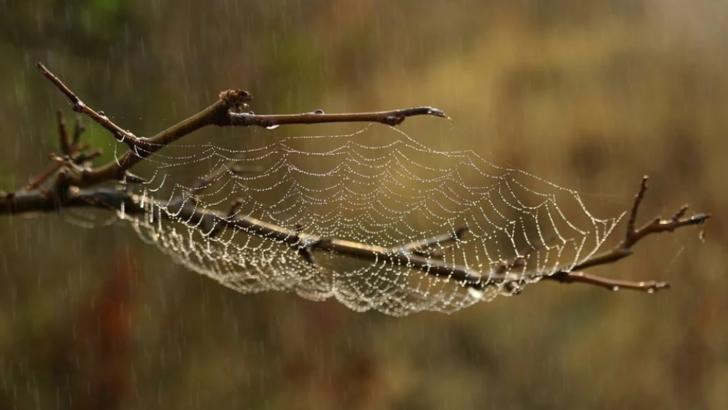 Prognoza meteo 8 octombrie. Cod galben de ploi. Cum va fi vremea în București