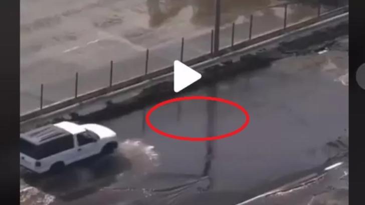 VIDEO Strada părea inundată însă șoferul a crezut că poate trece. Ce a apărut din apă, din senin, e șocant