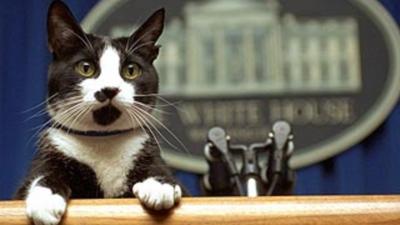Câinii și pisicile prezidențiale de la Casa Albă
