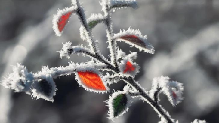 Zile reci și nopți geroase, în următoarele două săptămâni. Prognoza până pe 6 decembrie