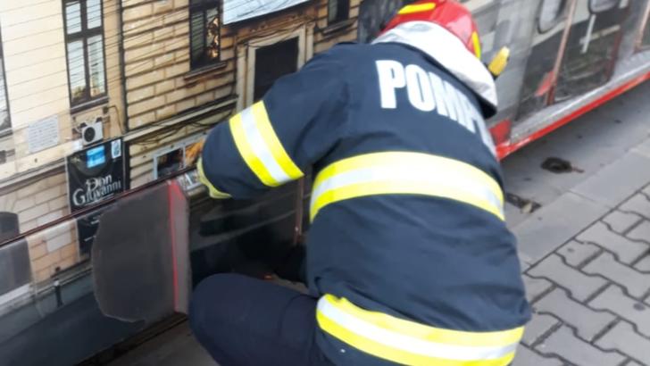 Pisicuț salvat de sub un tramvai în mers de pompieri în Craiova