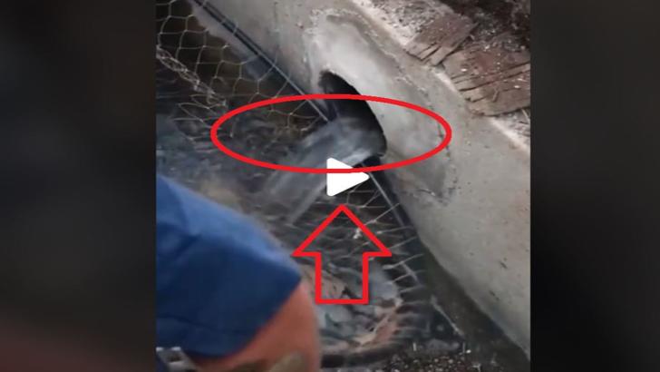 VIDEO – Au auzit zgomote ciudate din canalizare – E incredibil ce au putut scoate de acolo