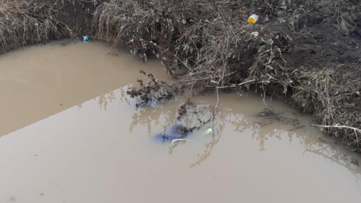 Atac dur după prognozele alarmiste: „Ashley e o găselniță pur românească. Dacă așa ceva a fost furtuna ultimilor 20 de ani înseamnă că meteorologia a MURIT”